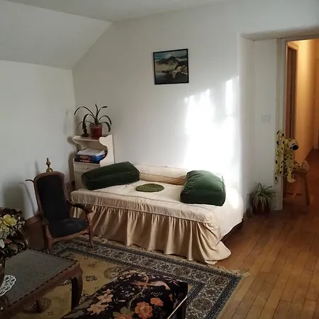 Maistine - D Dancevoir